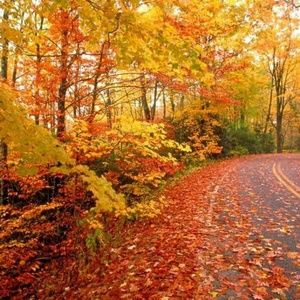 Meet your Posher, Mariam